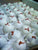 Red Velvet Cake Balls