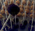Almond Amaretto Cake Balls